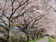 法勝寺城山公園の写真1