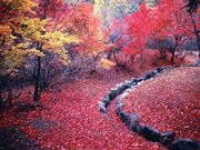 滝山公園の写真1