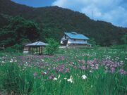 水源公園の写真1