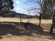 天草公園の写真3