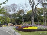 坂出緩衝緑地(番の州公園)の写真1