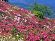冨士山公園の写真1