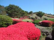 冷水岳公園の写真1