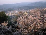 櫛の山公園の写真2