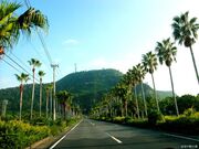 魚見岳自然公園の写真1