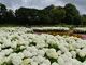 蔓巻公園の写真4