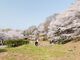 大阪府立近つ飛鳥風土記の丘の写真4