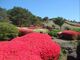冷水岳公園の写真4