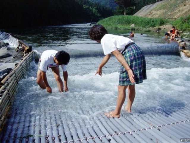 寒狭川広見ヤナの写真1
