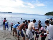 地引網(深江)の写真2