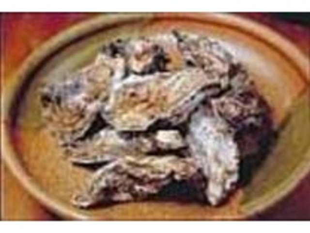 厚岸産のカキはふっくら大粒でまろやか_とらのこ 南1条店