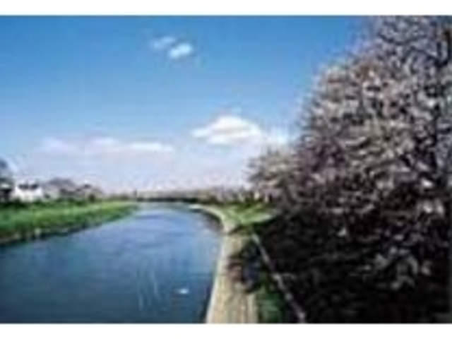 荒川から吹いてくる風も心地よい河川敷_元荒川堤