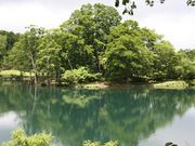 蔵王スカイケーブルの写真3