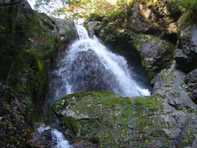 大たびの滝の写真1