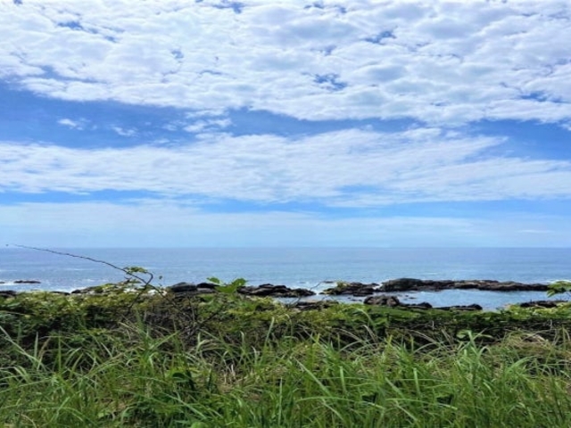 井ノ岬海岸の写真1