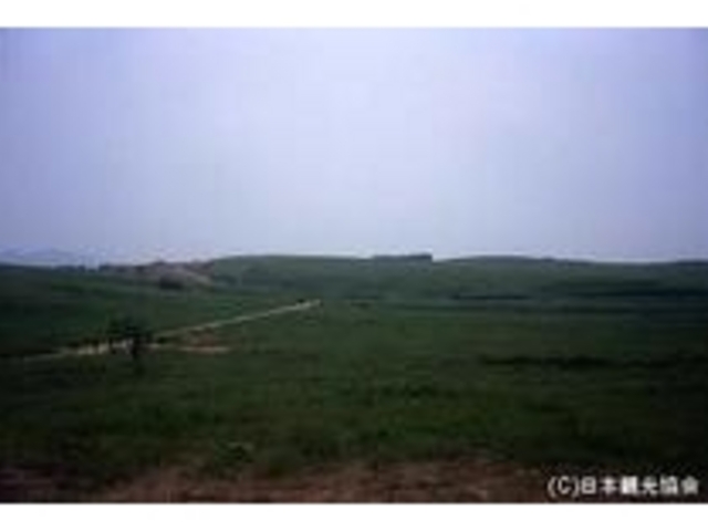 大野原高原の写真1