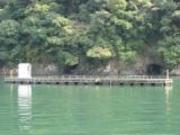 須崎市観光漁業センターの写真3