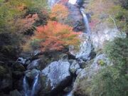 大荒の滝の写真2