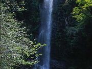 大樽の滝の写真1