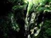 大引割・小引割の写真1