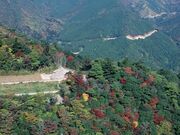 善住寺大山の紅葉の写真1