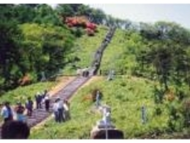 田束山石像公園の写真1