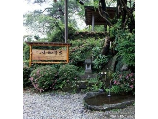 小和清水_小和清水
