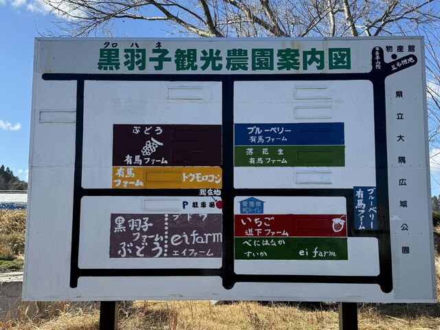 黒羽子観光農園の写真1