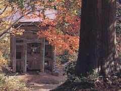 金峯山の紅葉の写真1