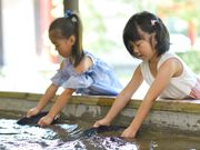 わくや万葉の里 天平ろまん館の写真3