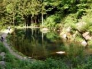 日本イワナセンターの写真1