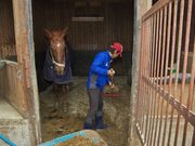 大山乗馬センターの写真4