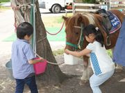 大山乗馬センターの写真2