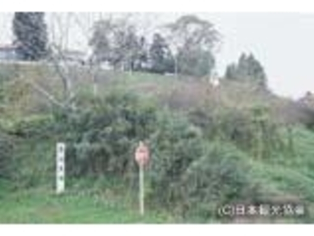 倉崎貝塚の写真1