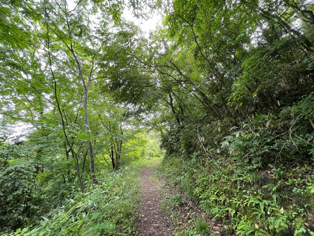 遊歩道_石川県森林公園