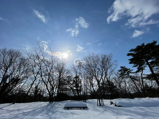 冬_石川県森林公園