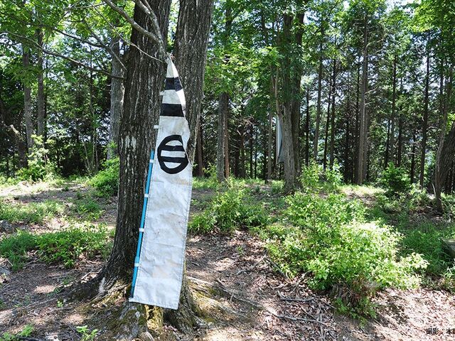 光竜寺山城跡の写真1