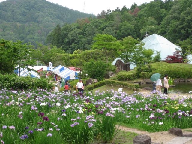四季の里あやめ園_矢野温泉公園四季の里