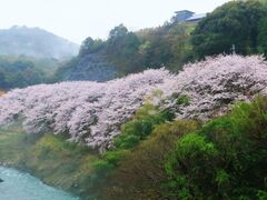 有田川明恵峡の写真1