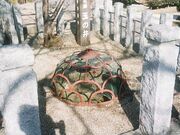 玉の井(井戸)の写真1