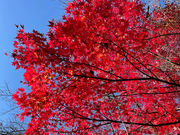 石川県森林公園の写真2