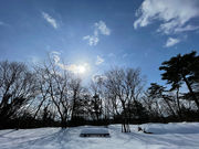 石川県森林公園の写真4