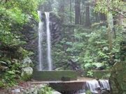 不動ケ滝の写真1