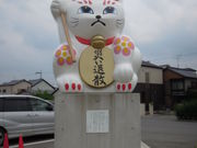 追い出し猫本舗の写真2