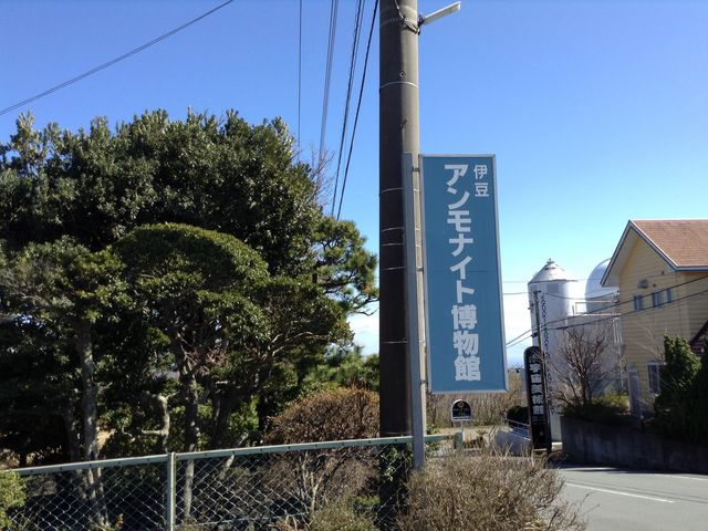 伊豆アンモナイト博物館