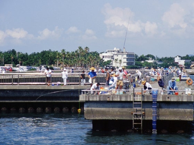 新居弁天海釣公園