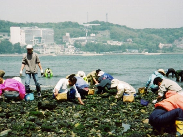 梶島_梶島