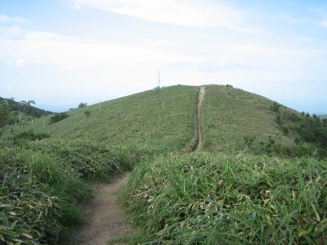 深山の写真1