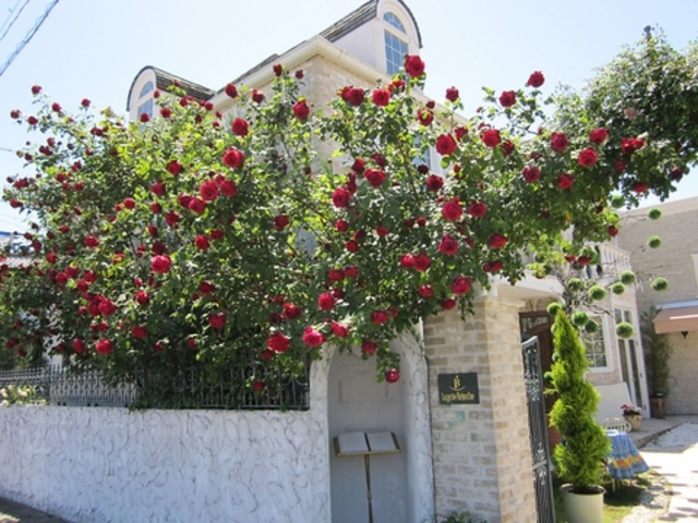 薔薇舘 ラ・ローゼ ブランシュの写真1