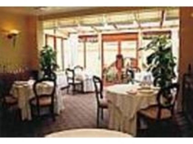館は樹齢300年のけやきで囲まれている_RISTORANTE ASO